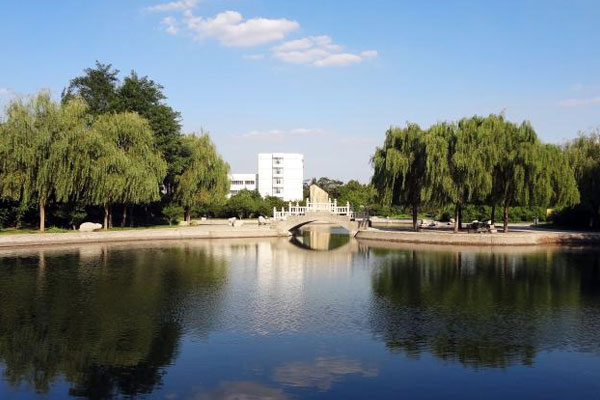 Reasons to Go Shandong University of Technology